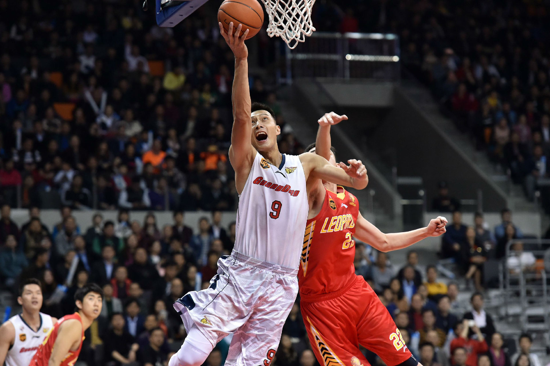 力广受赞誉 力广受赞誉